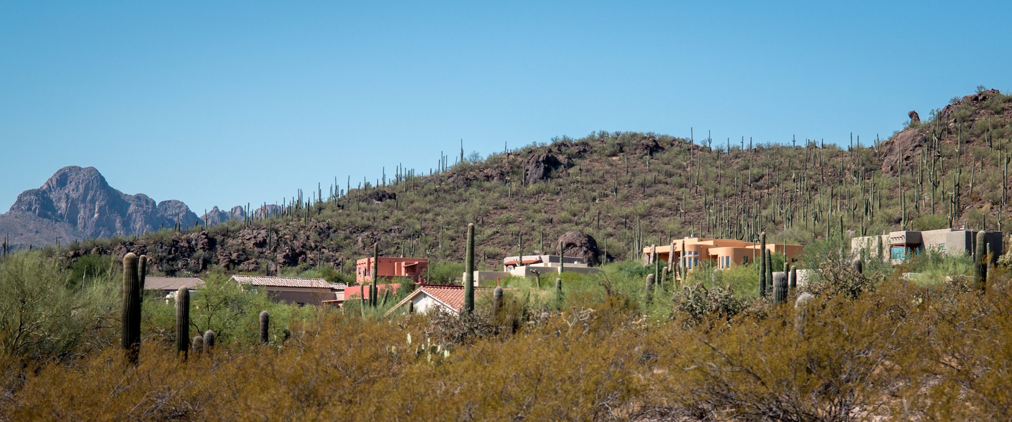 Photo of homes for sale Marana Arizona